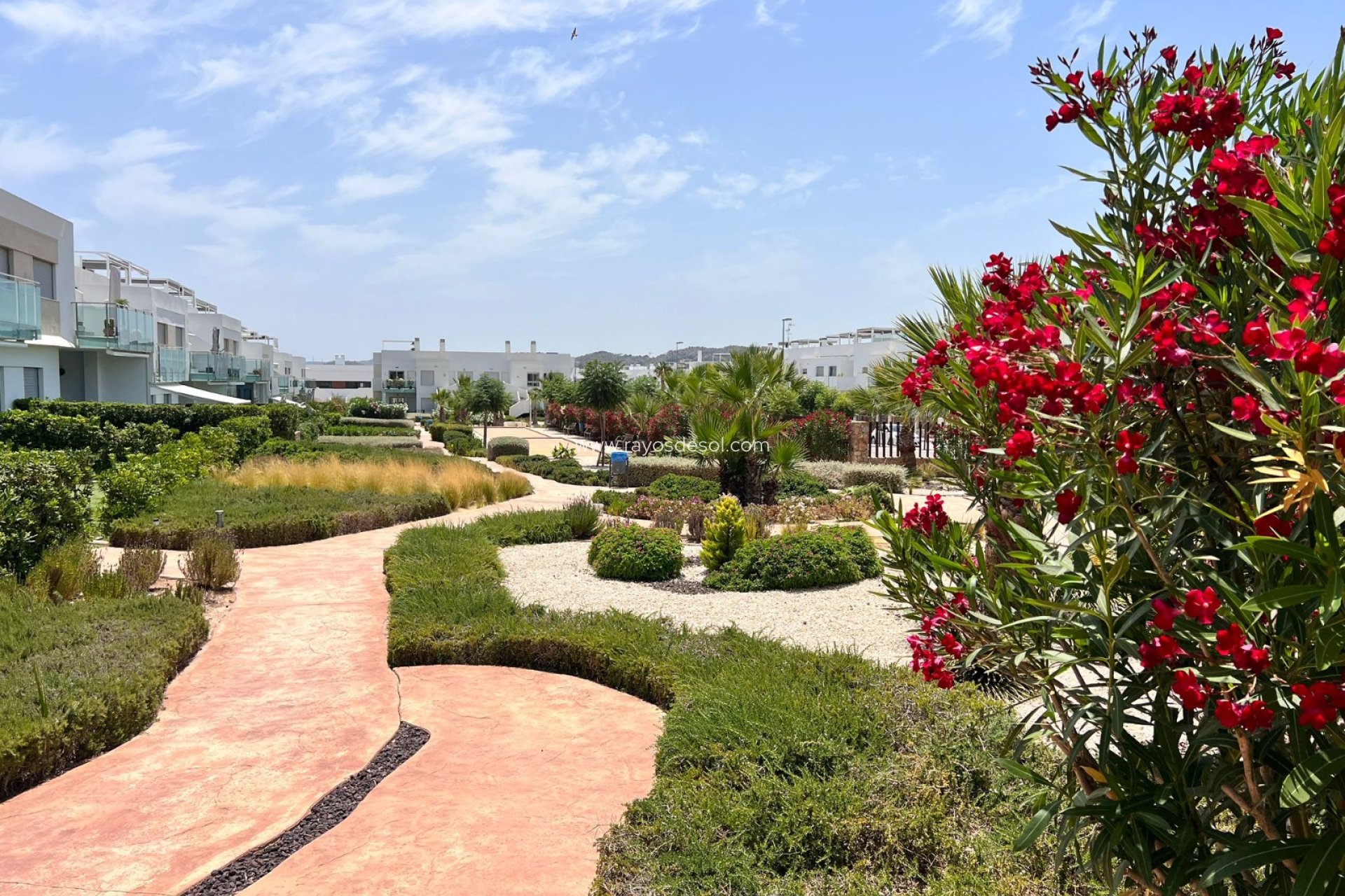 Resale - Apartment - Vistabella Golf - VISTABELLA GOLF