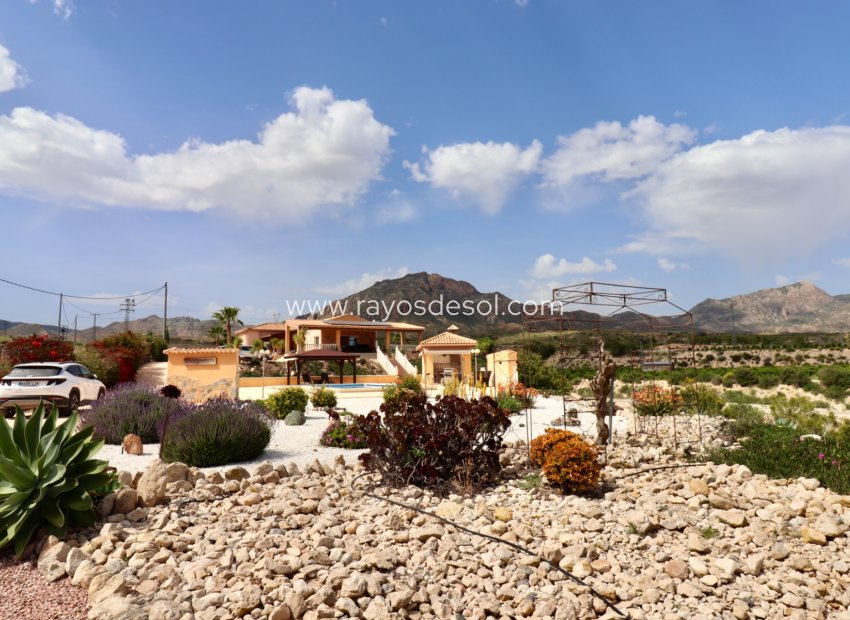Resale - Country House - Finca - Albatera
