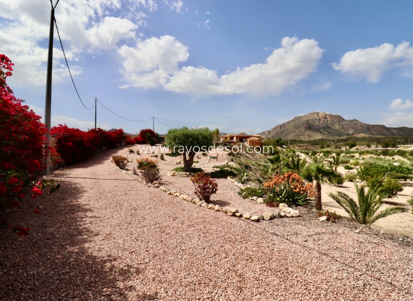 Resale - Country House - Finca - Albatera