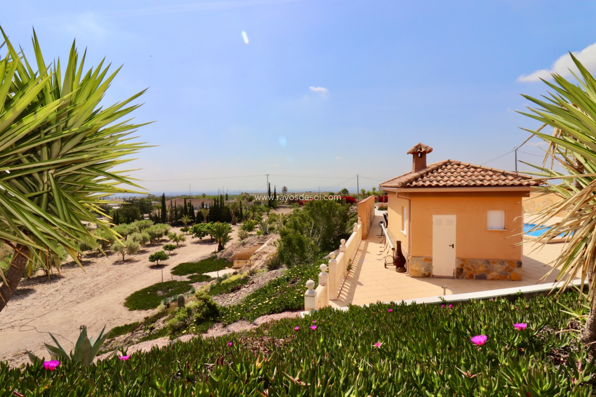 Resale - Country House - Finca - Albatera
