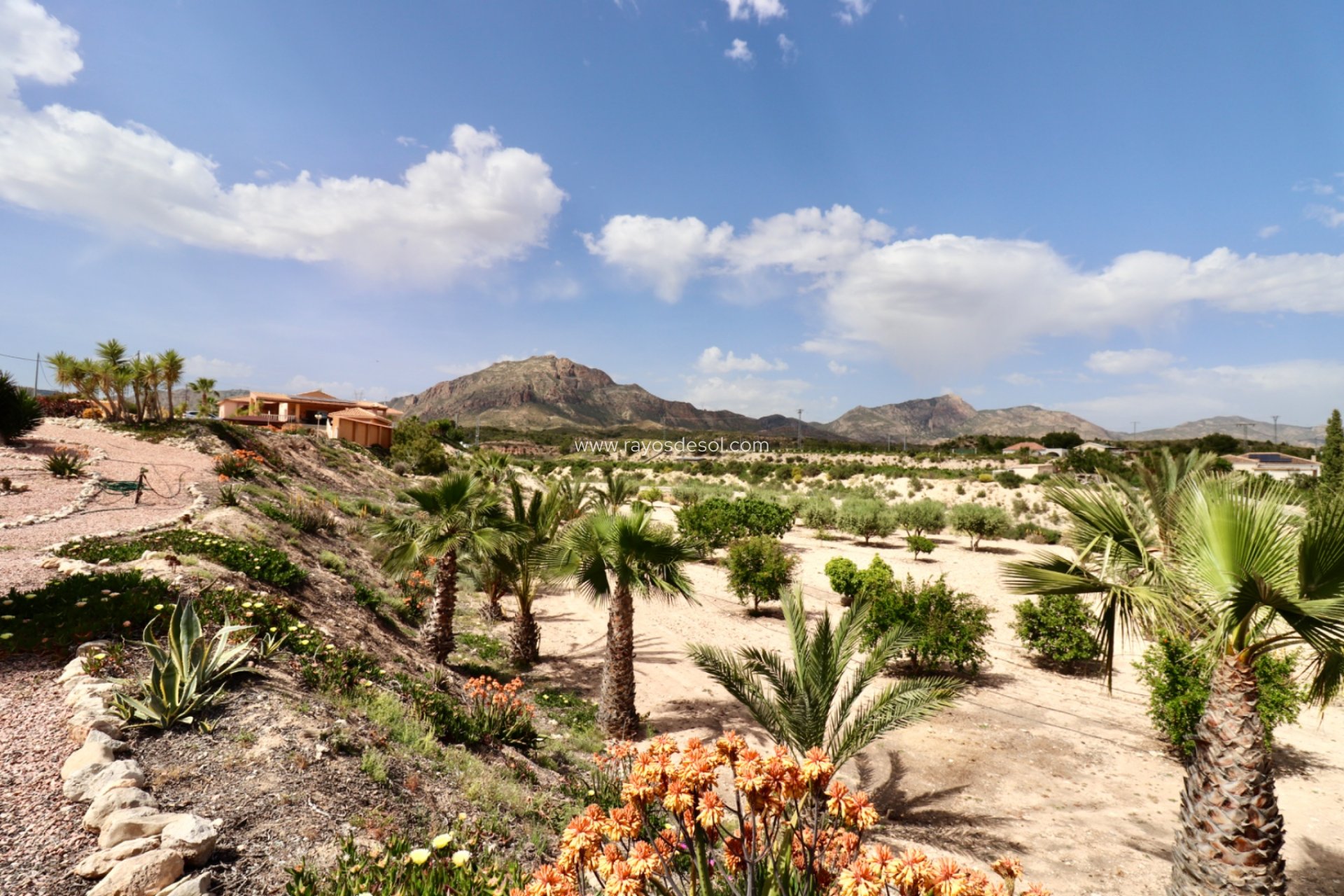 Resale - Country House - Finca - Albatera