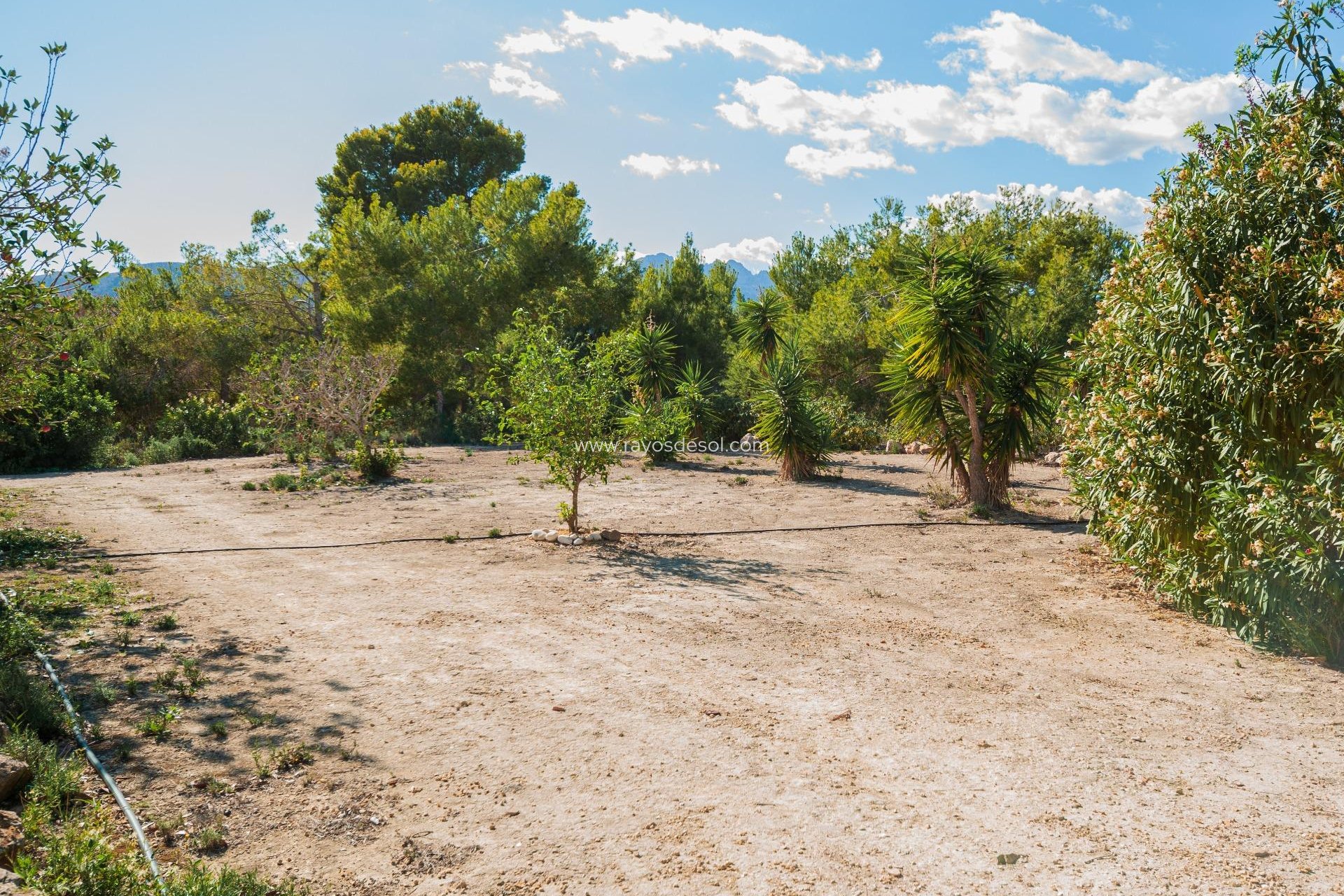 Resale - Country House - Finca - Benissa - Benimarraig