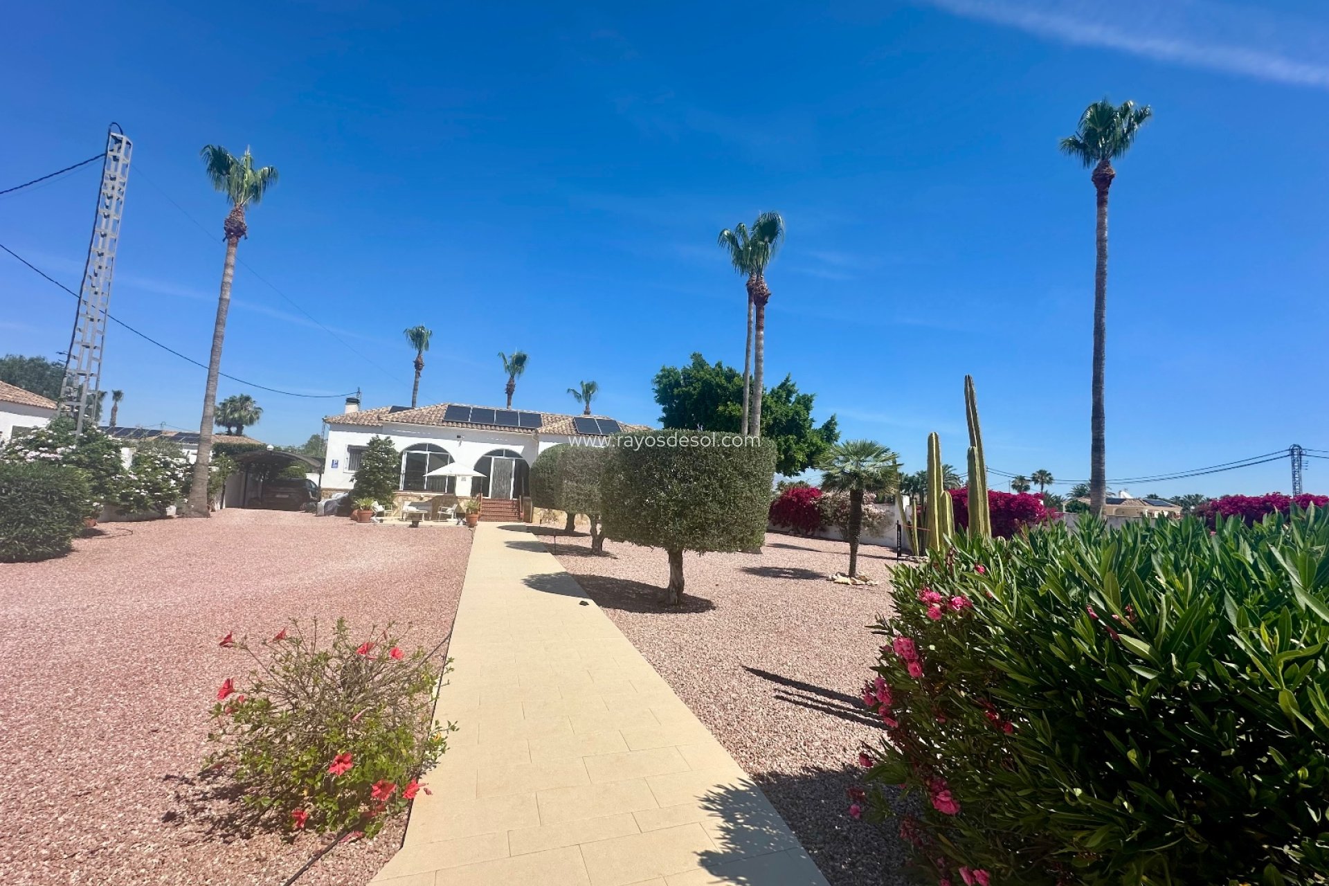 Resale - Country House - Finca - Catral