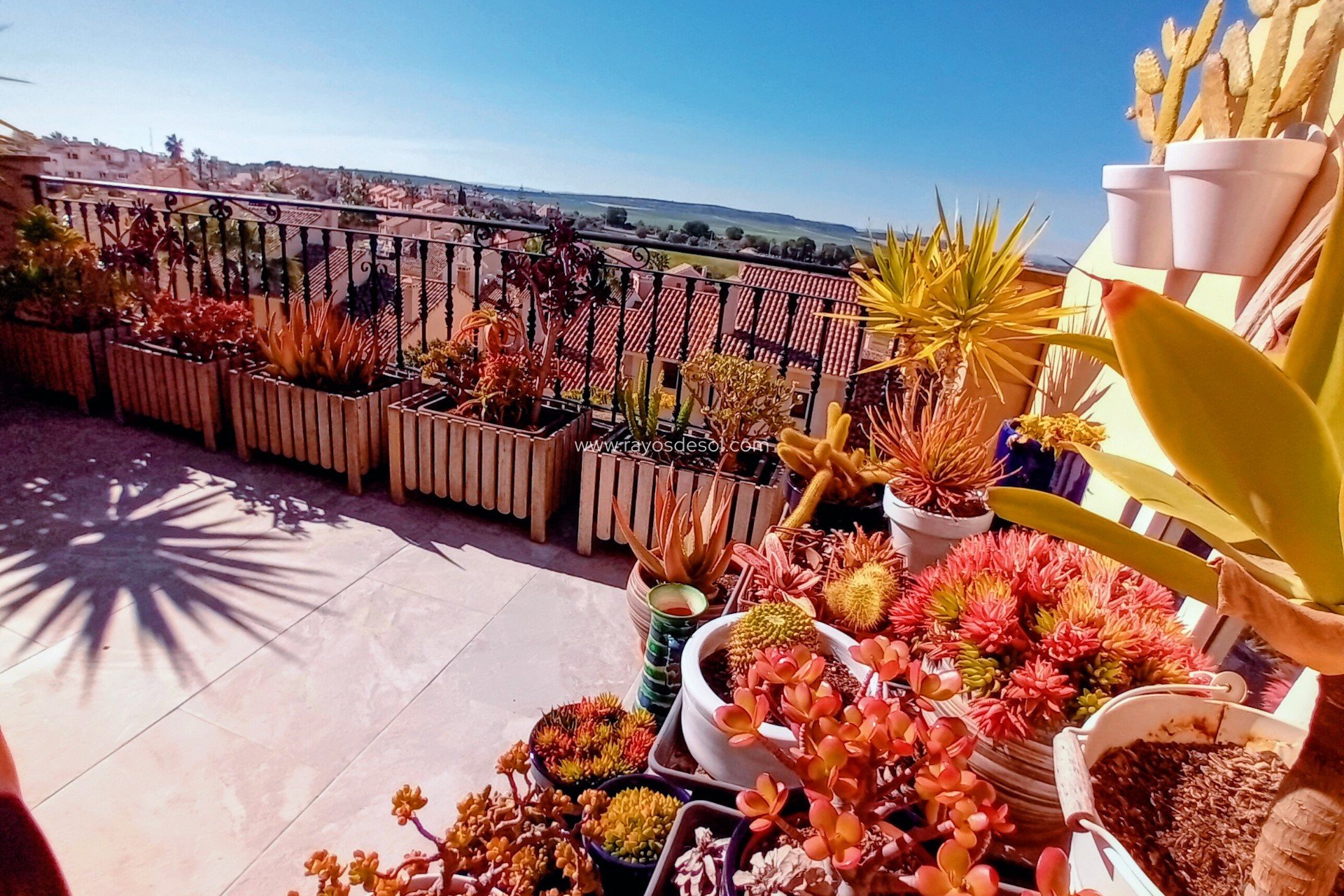 Resale - House - Algorfa - La Finca Golf