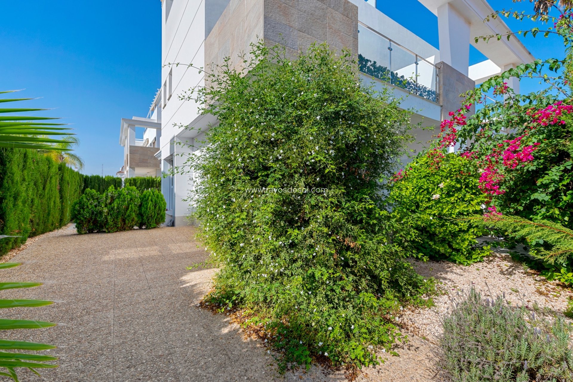 Resale - House - Ciudad Quesada/Rojales - Doña Pepa