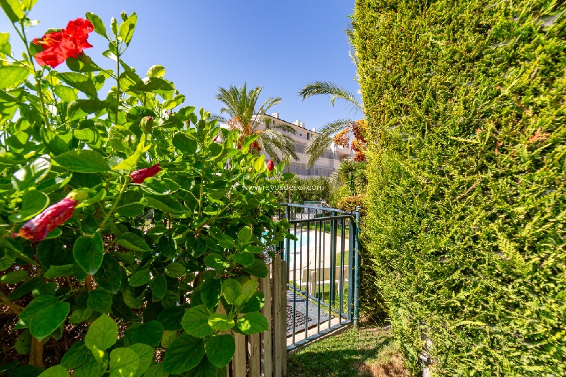 Resale - House - Finestrat