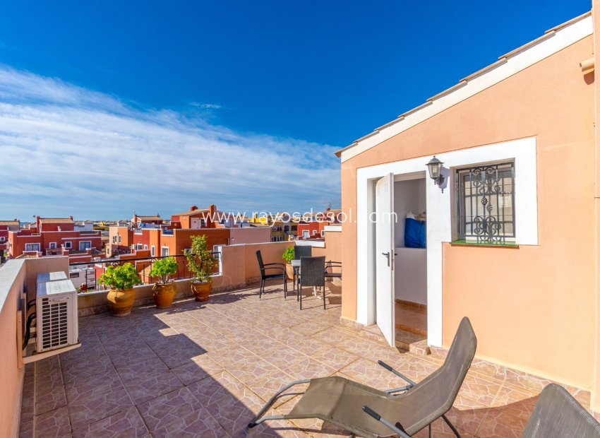 Resale - House - Los Montesinos - La Herrada