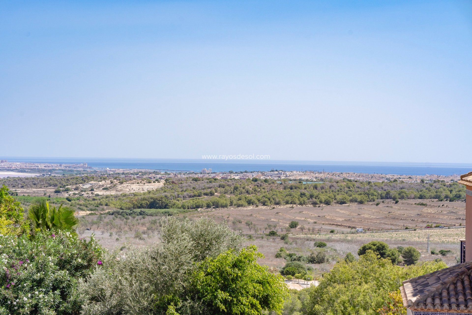 Resale - House - San Miguel de Salinas - San Miguel