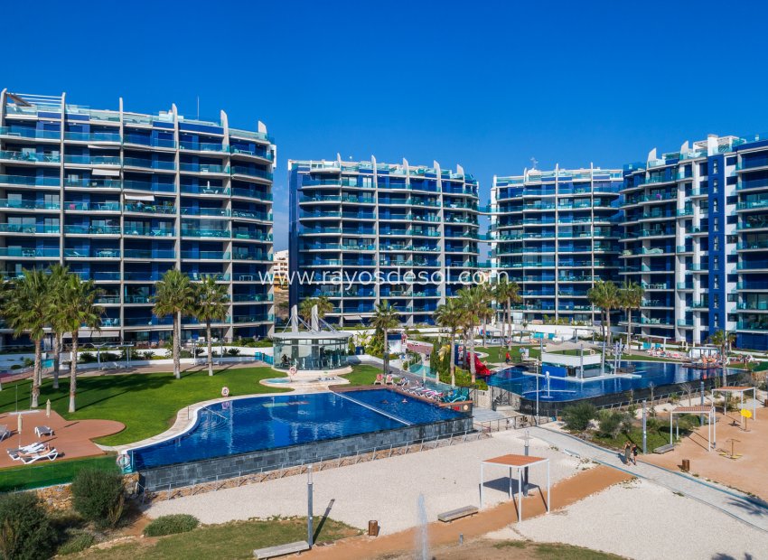 Resale - Penthouse - Torrevieja - Punta Prima