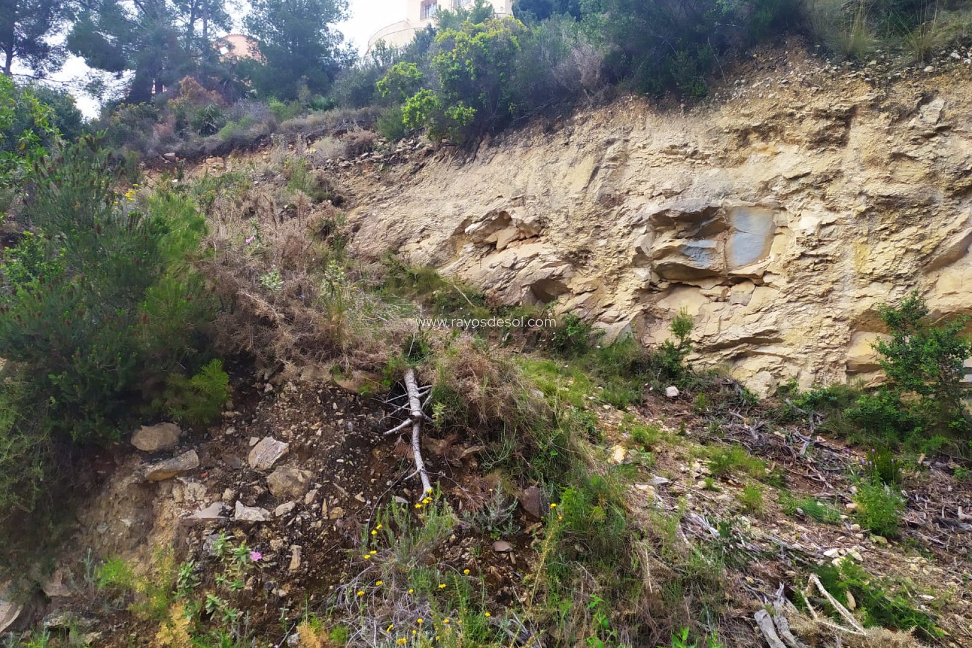 Resale - Plot / Land - Calpe