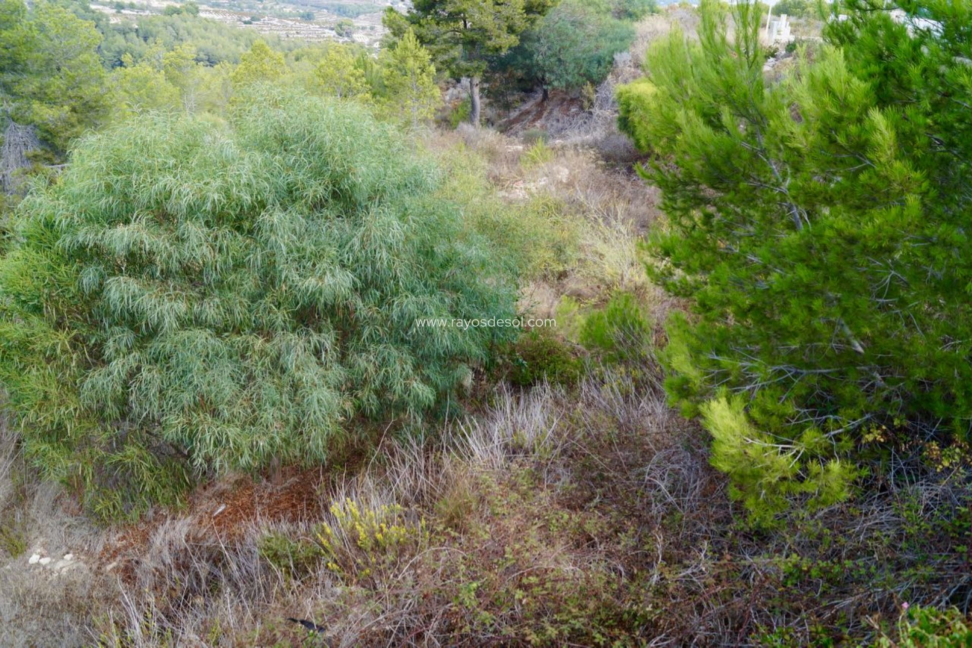 Resale - Plot / Land - Moraira - Benimeit