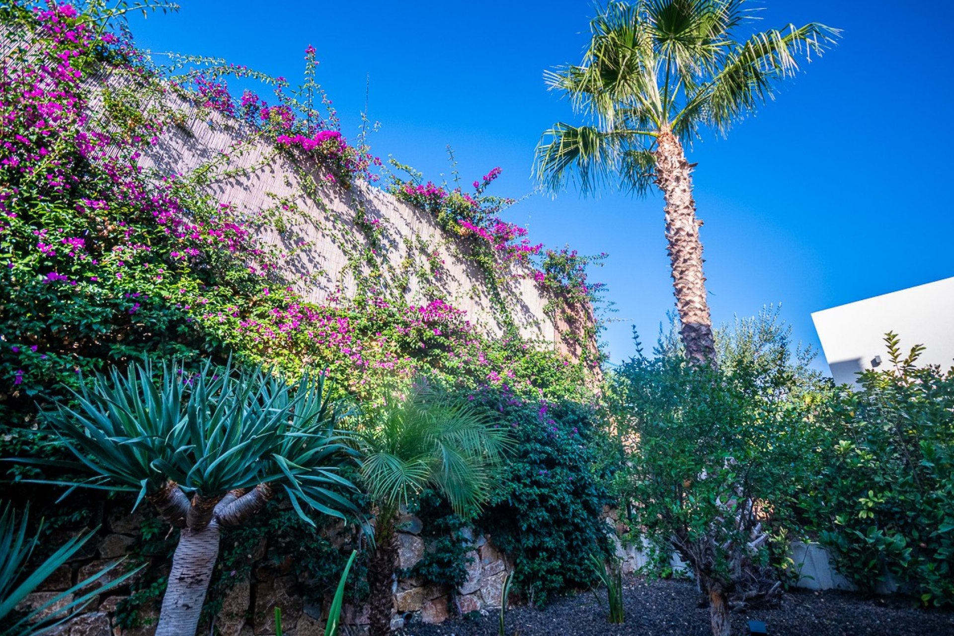 Resale - Villa - Algorfa - LA FINCA GOLF / ALGORFA