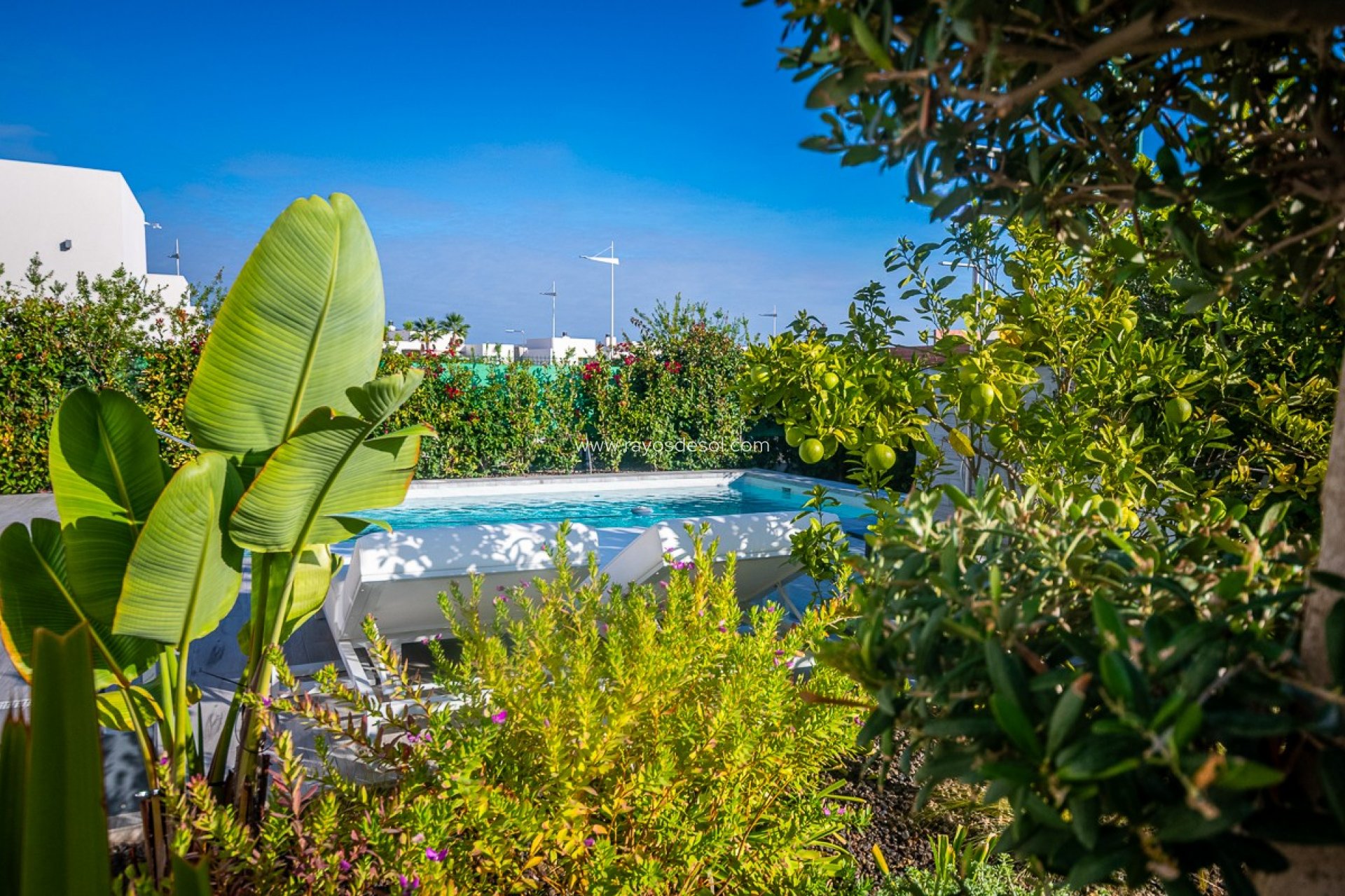 Resale - Villa - Algorfa - LA FINCA GOLF / ALGORFA
