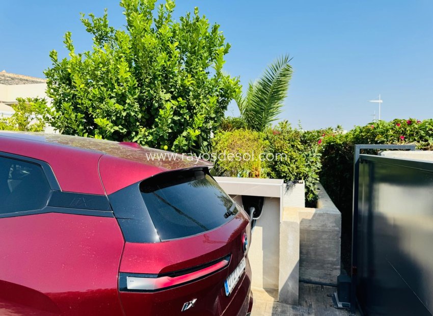 Resale - Villa - Algorfa - La Finca Golf
