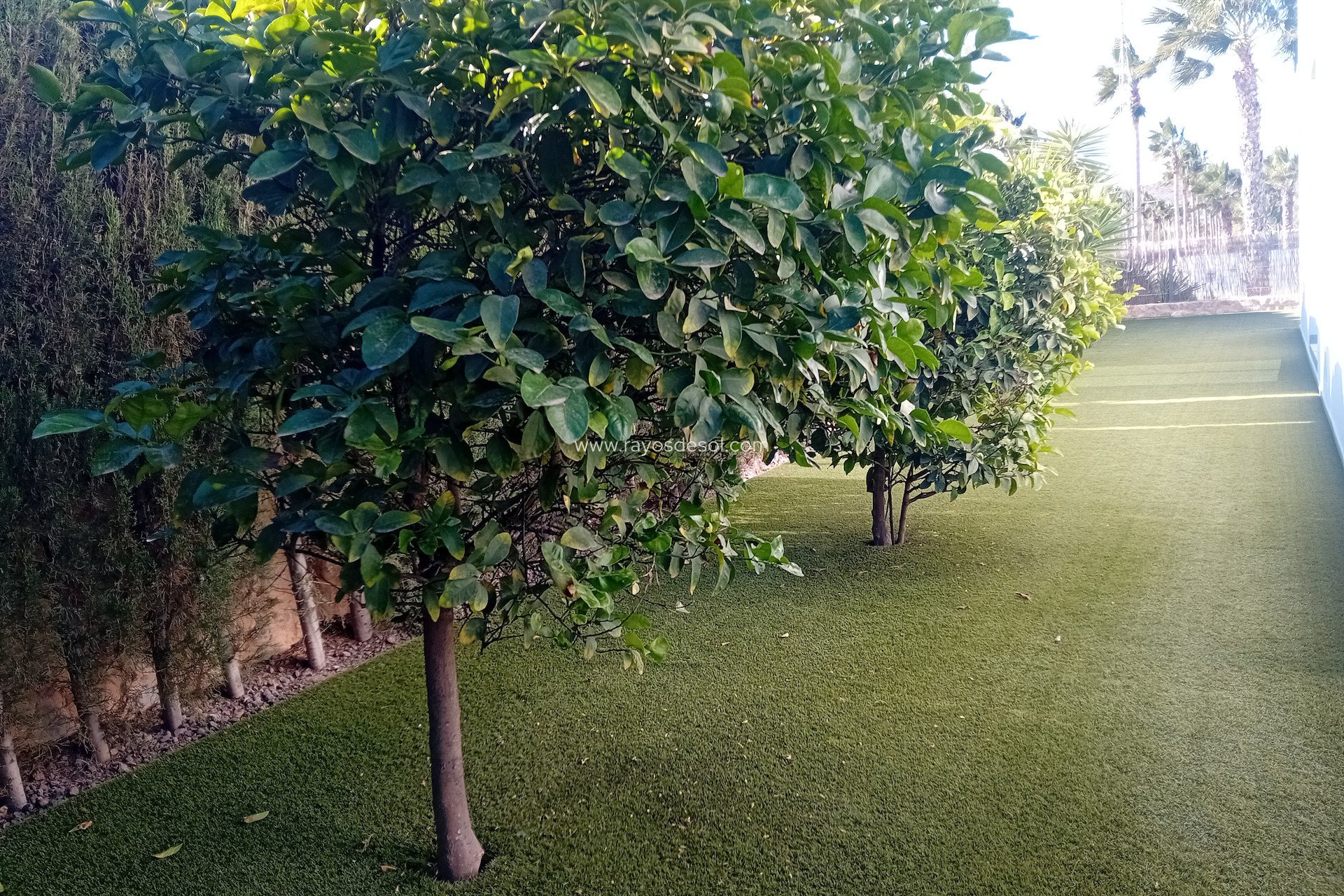 Resale - Villa - Algorfa - La Finca Golf