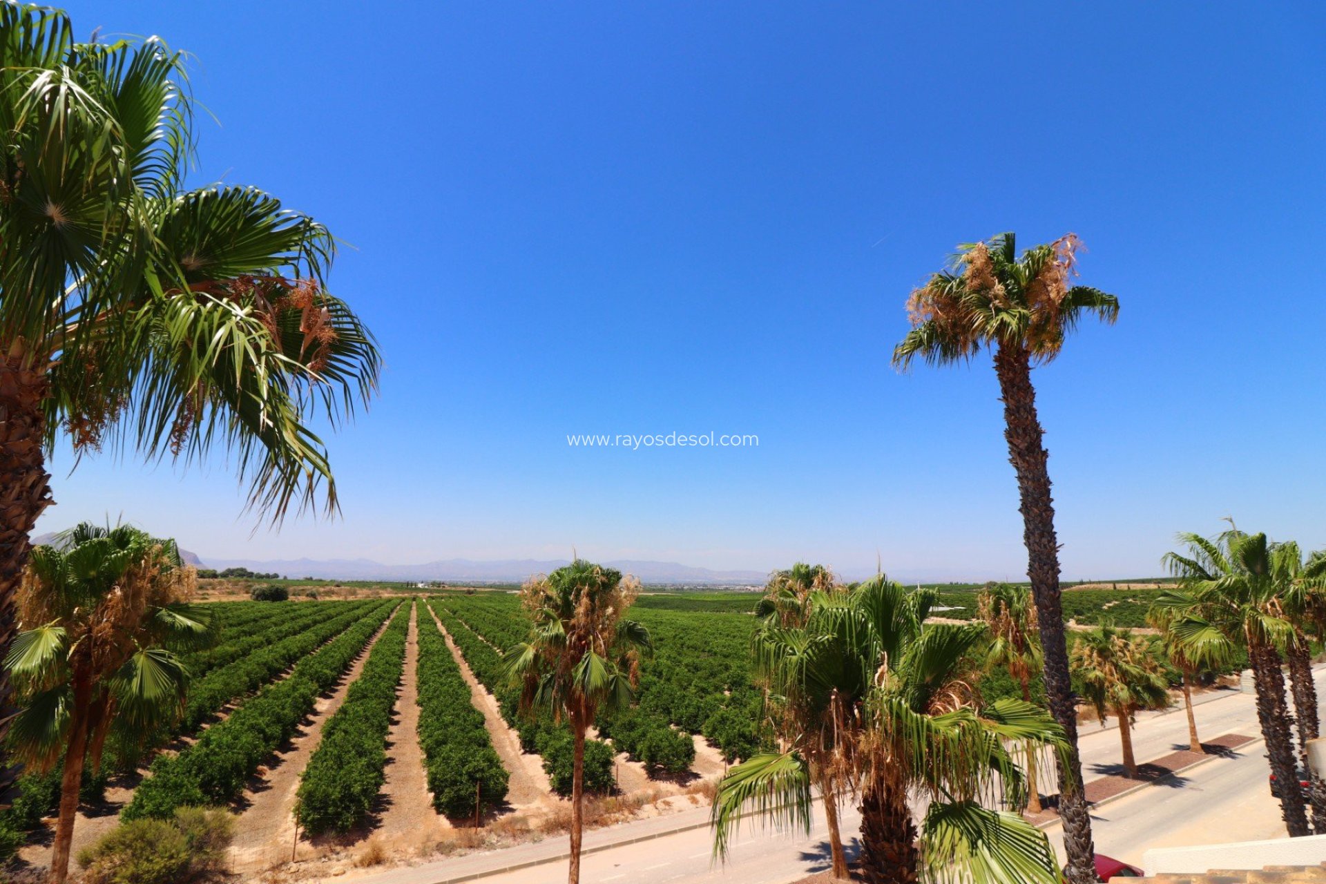 Resale - Villa - Algorfa - La Finca Golf