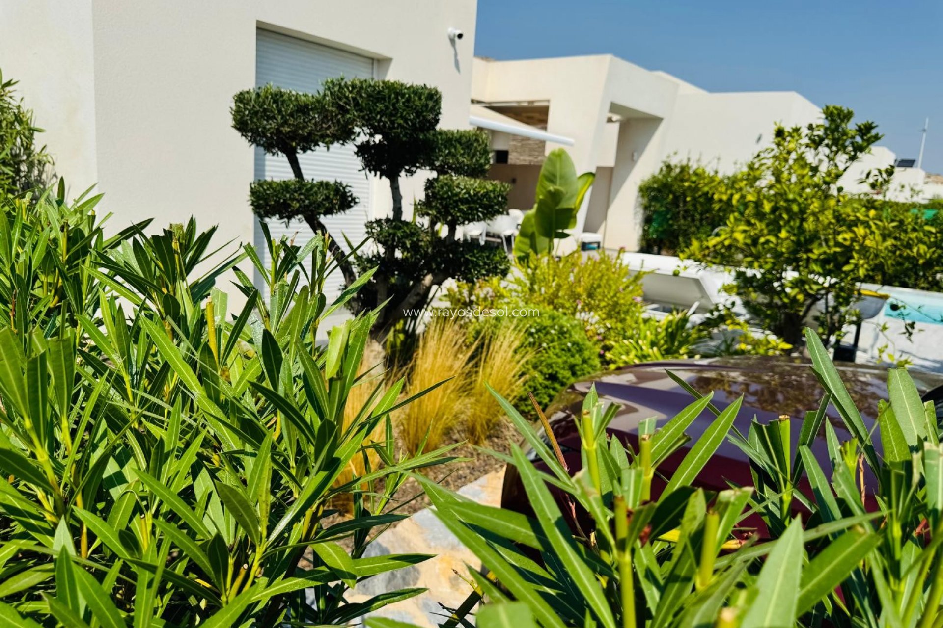 Resale - Villa - Algorfa - La Finca Golf