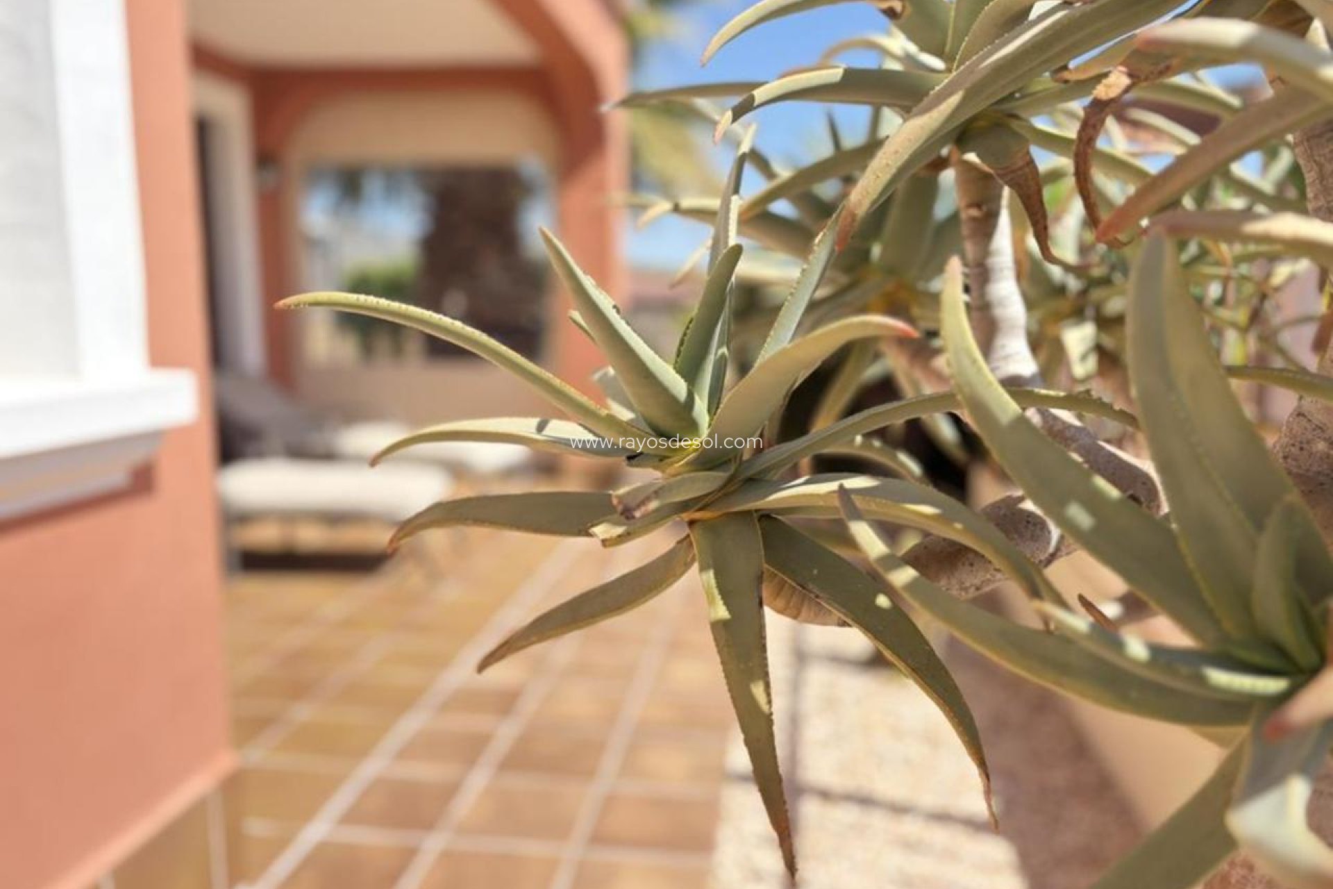 Resale - Villa - Altaona Golf and Country Village