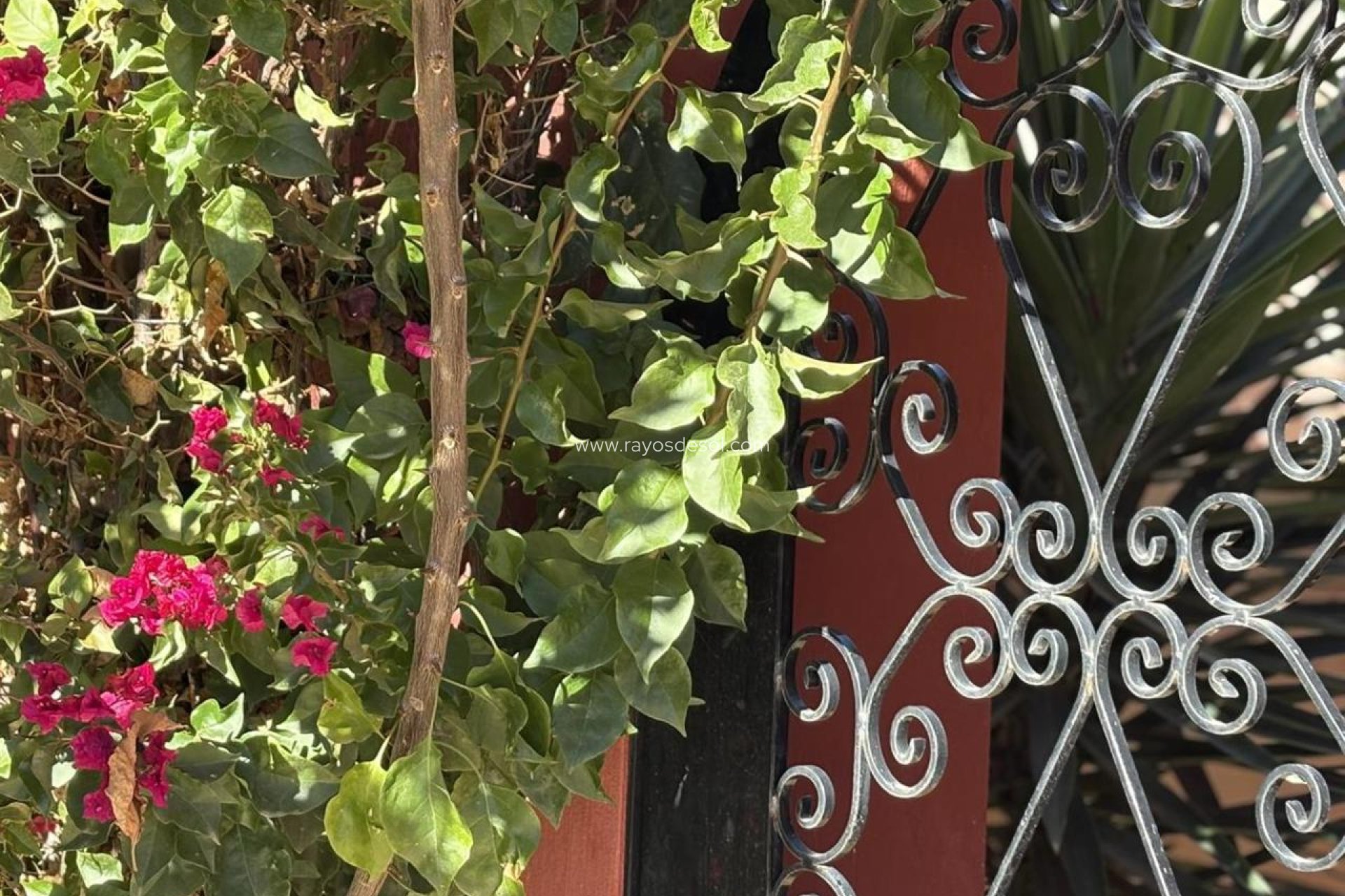 Resale - Villa - Altaona Golf and Country Village