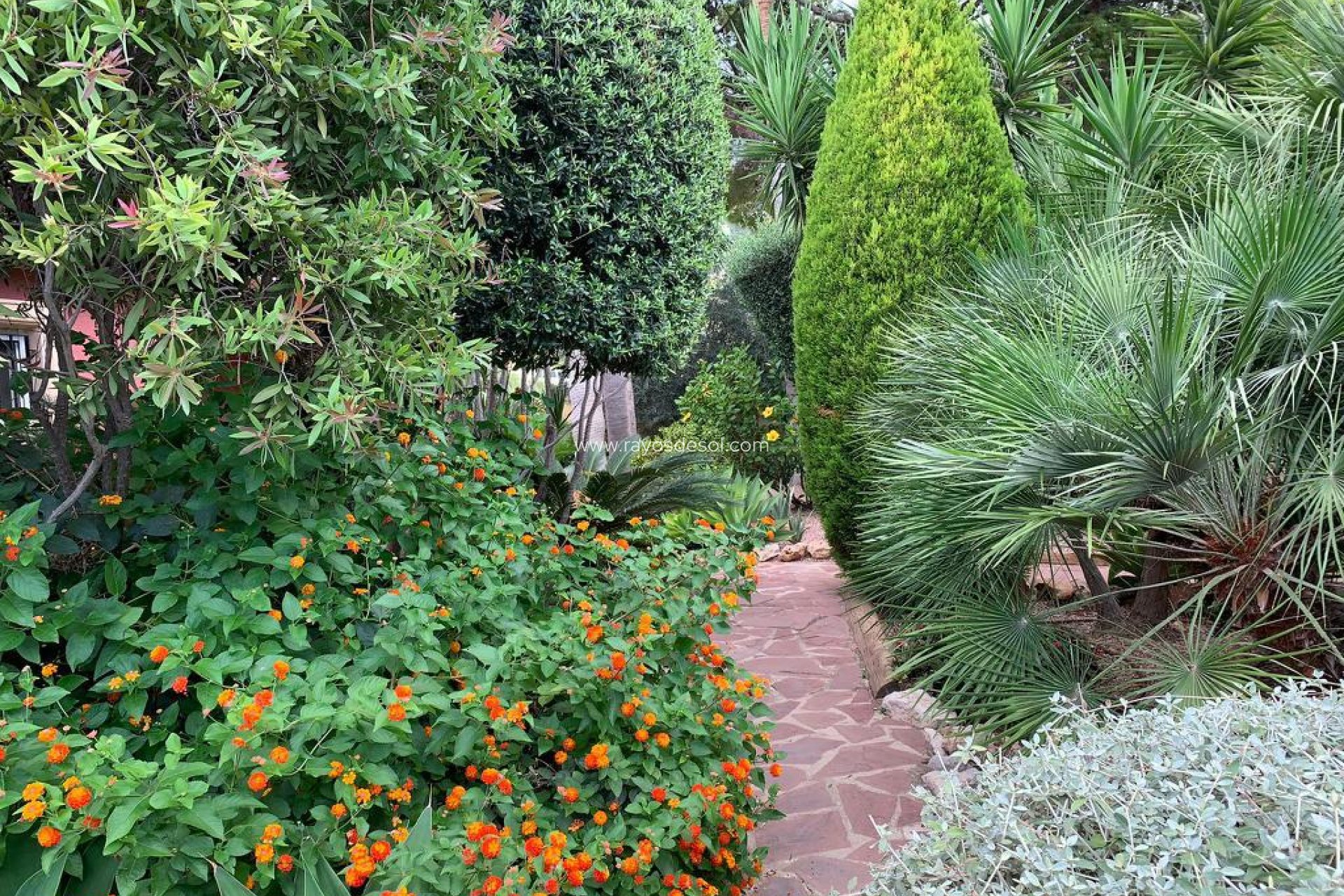 Resale - Villa - Altea - Altea la Vieja