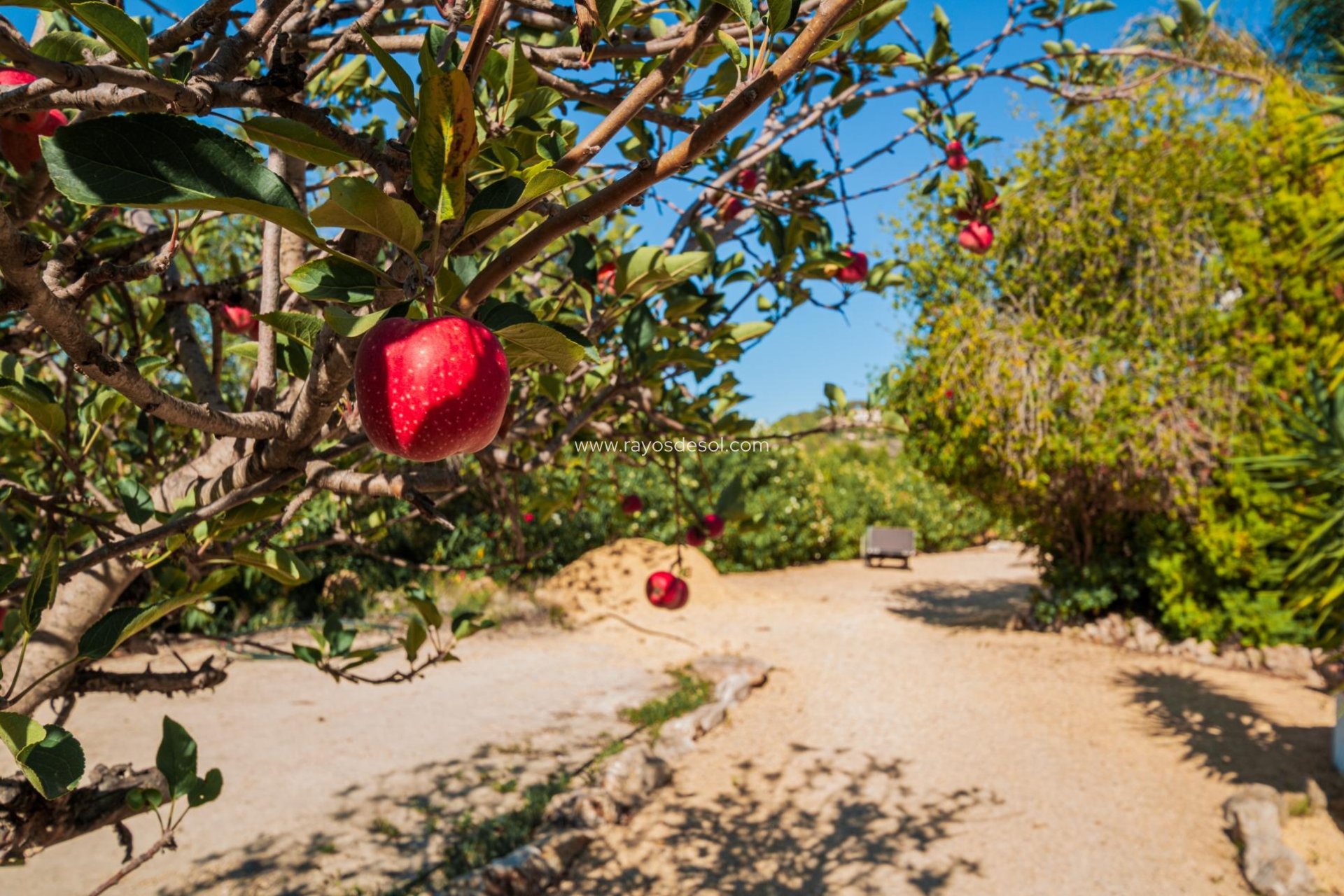 Resale - Villa - Benissa - Benimarraig