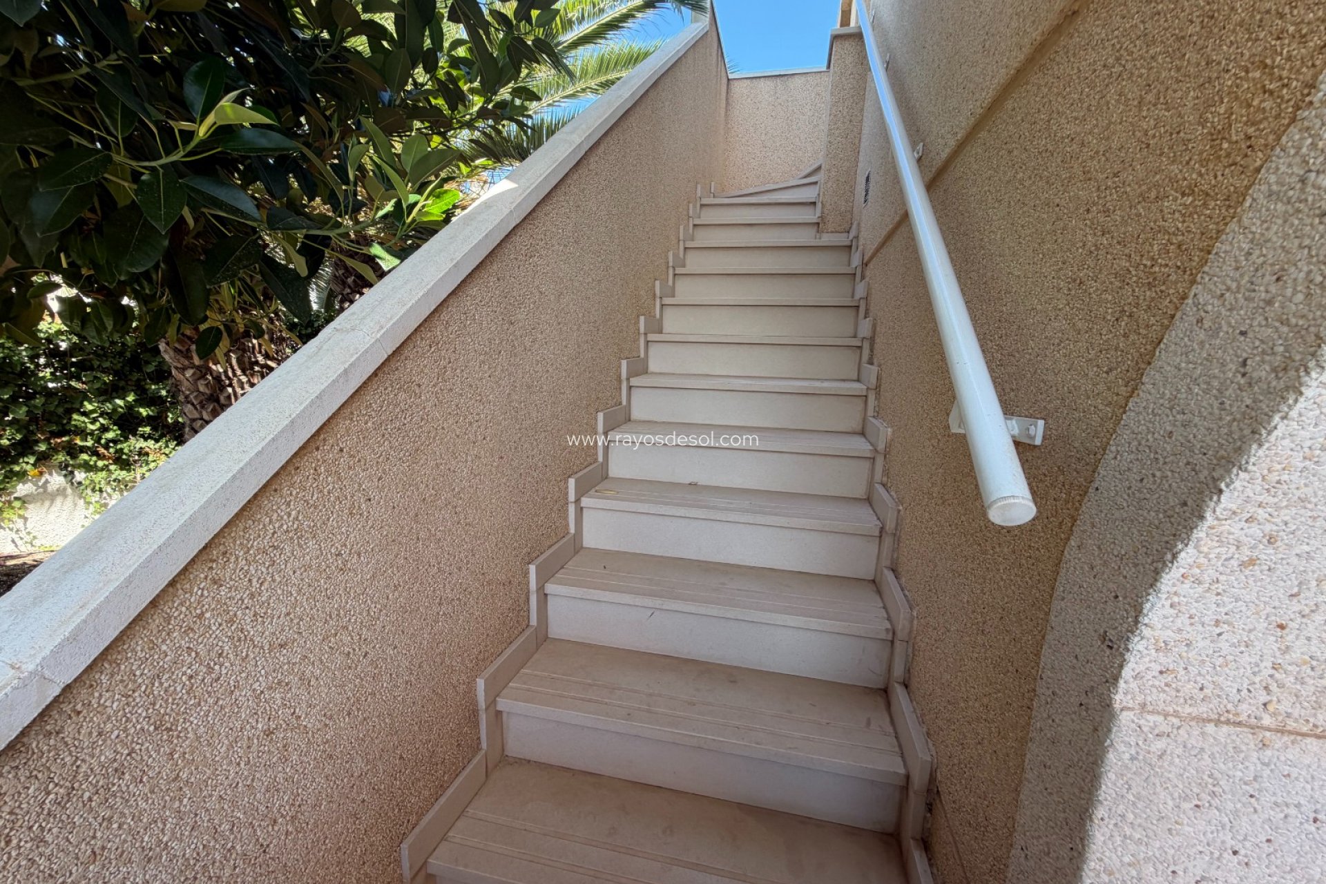 Resale - Villa - Ciudad Quesada/Rojales - Lo Pepín