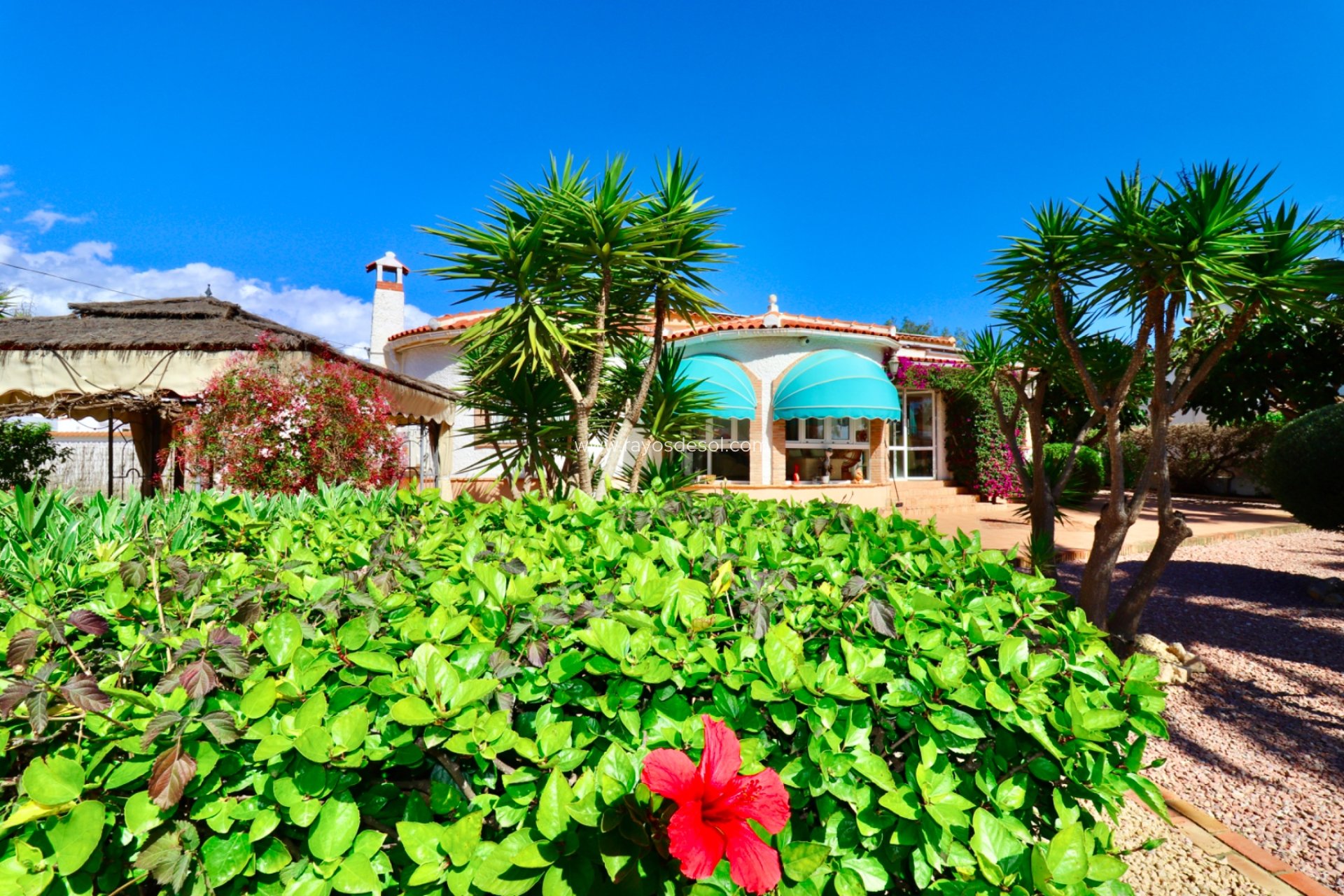 Resale - Villa - Ciudad Quesada/Rojales - Quesada Center