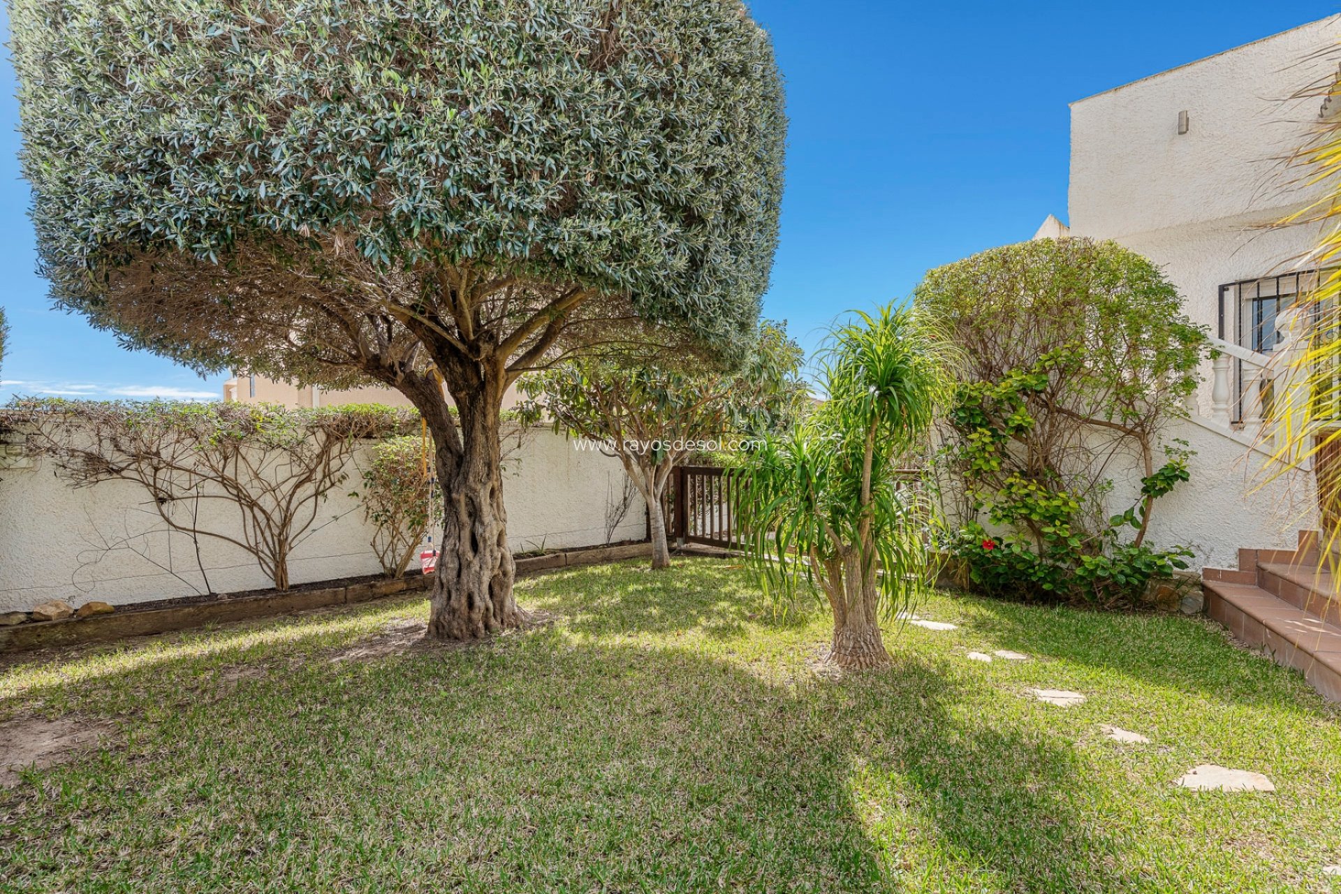 Resale - Villa - Ciudad Quesada/Rojales - Rojales