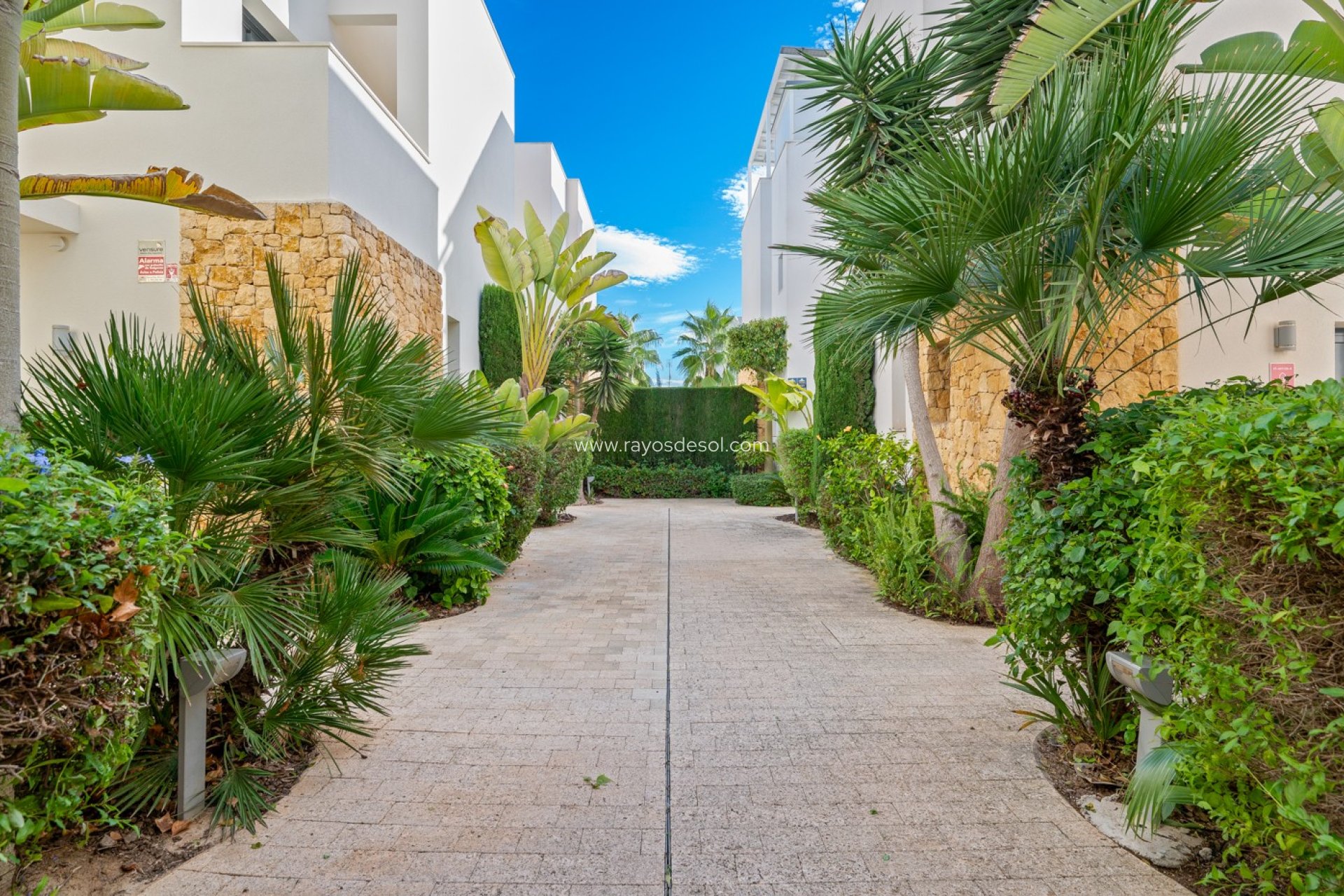 Resale - Villa - Ciudad Quesada/Rojales - Rojales