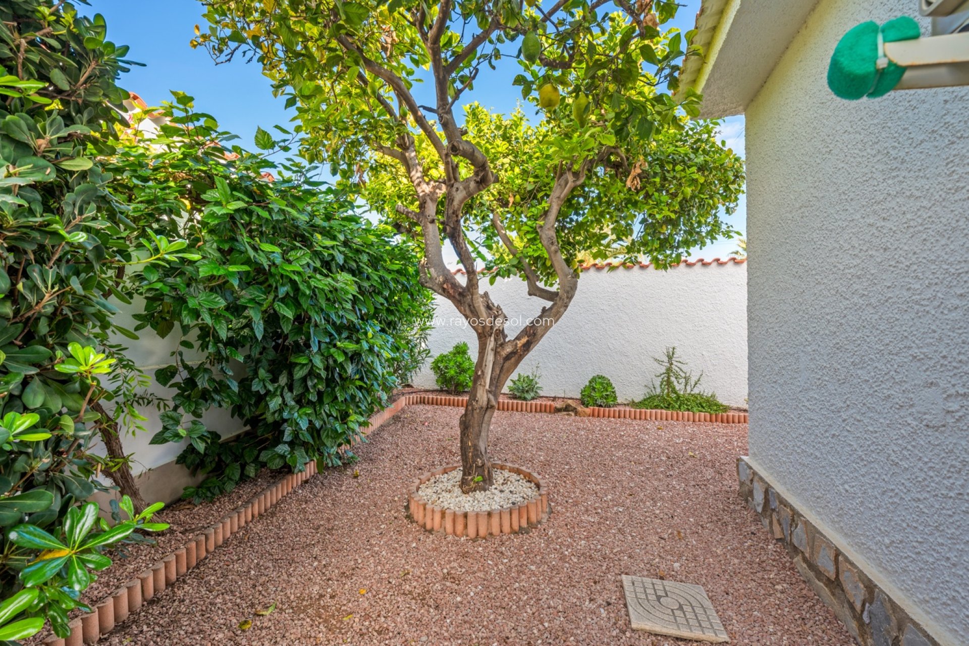 Resale - Villa - Ciudad Quesada/Rojales - Rojales