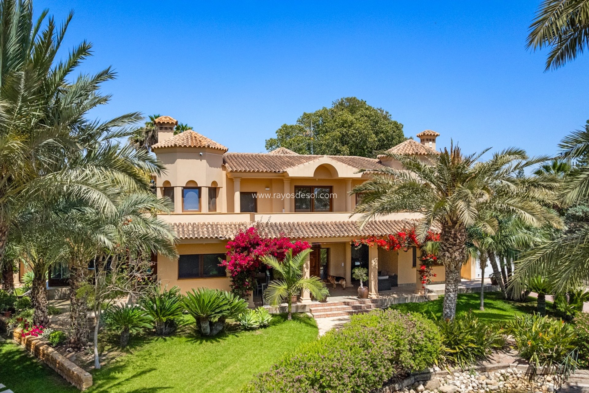 Resale - Villa - Elche - Elche/Elx