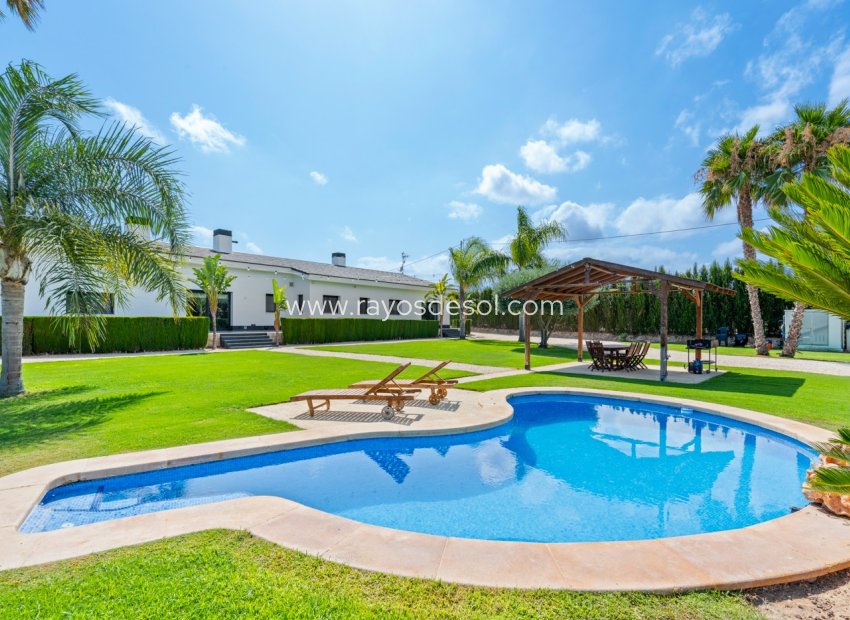 Resale - Villa - Elche - Elche/Elx