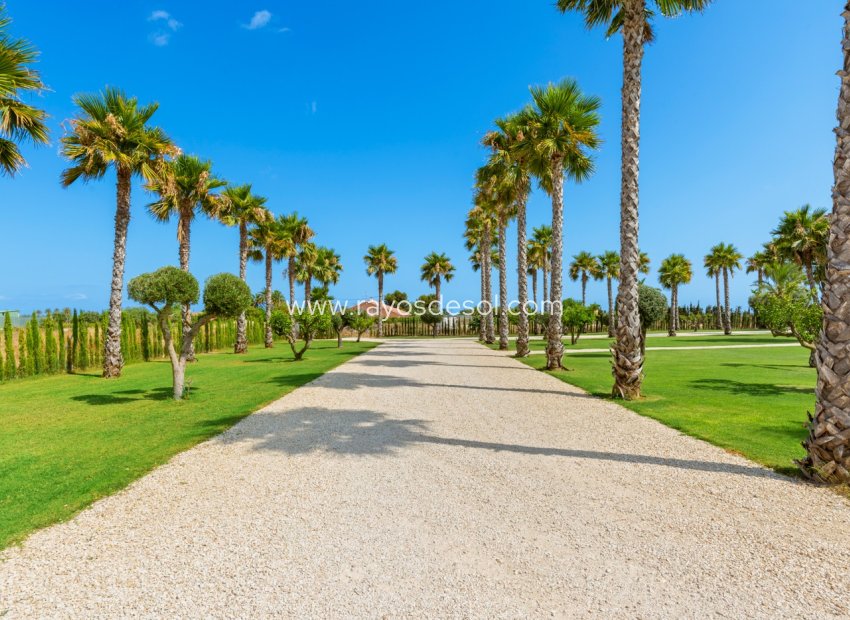 Resale - Villa - Elche - Elche/Elx