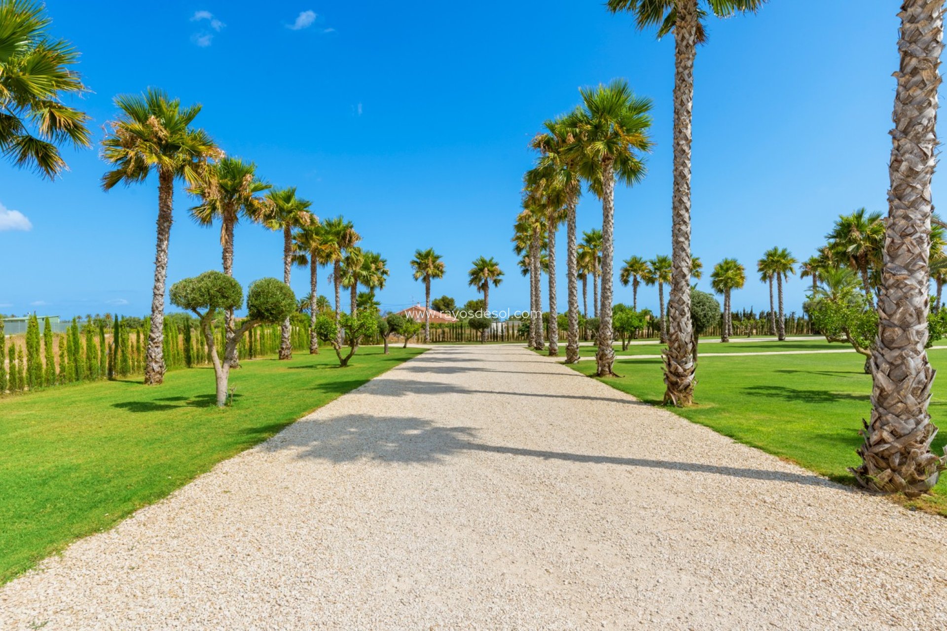 Resale - Villa - Elche - Elche/Elx