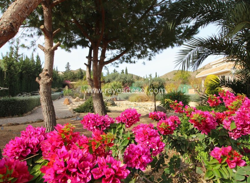 Resale - Villa - La Manga Club