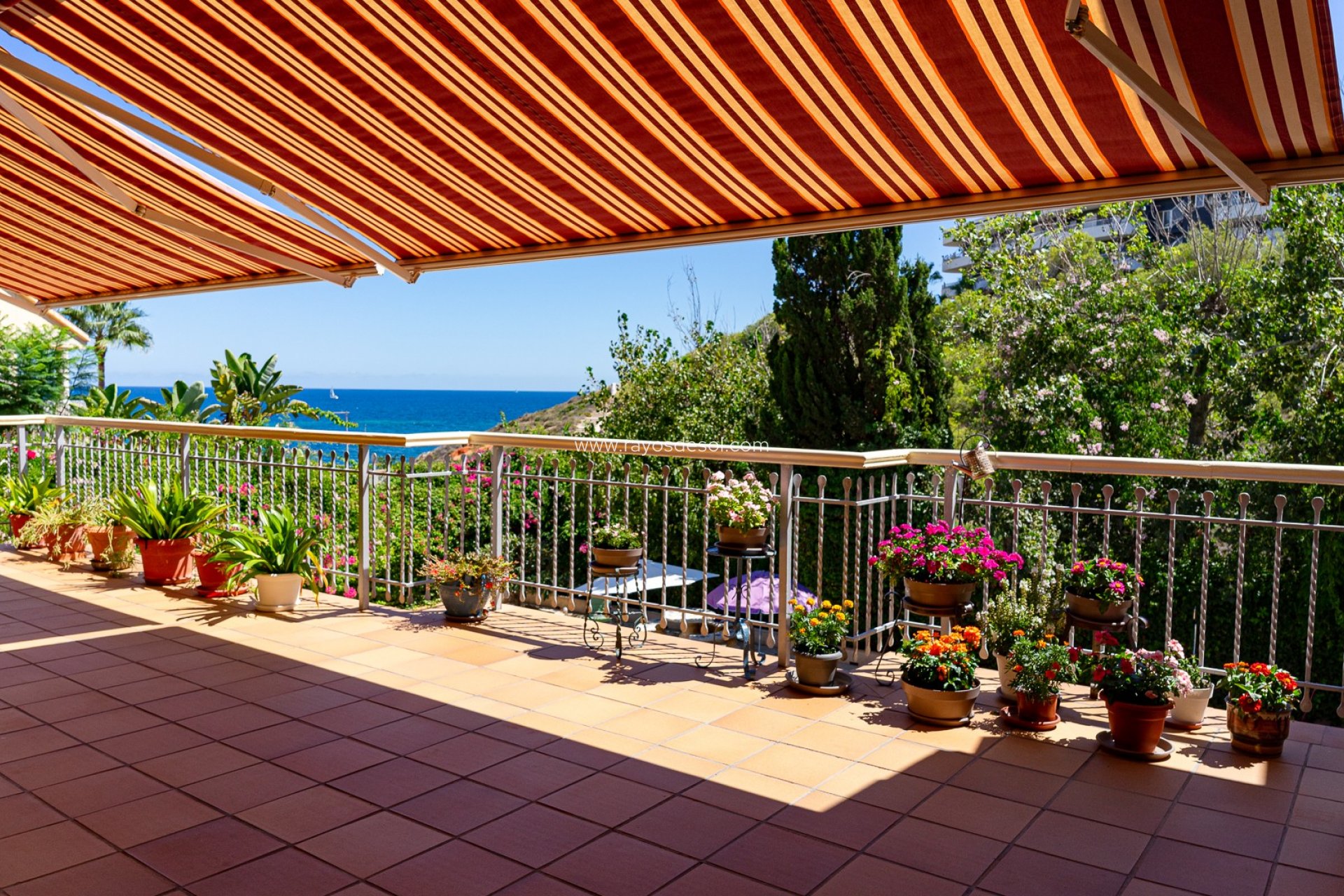 Resale - Villa - Orihuela Costa - Campoamor
