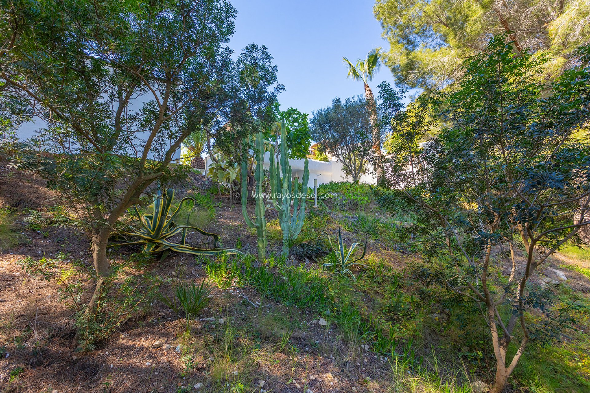 Resale - Villa - Orihuela - Orihuela Costa