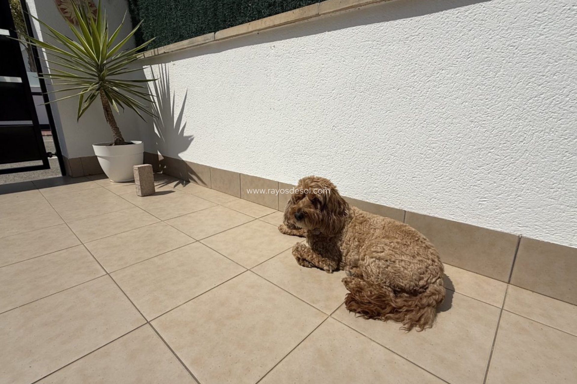 Resale - Villa - Sucina