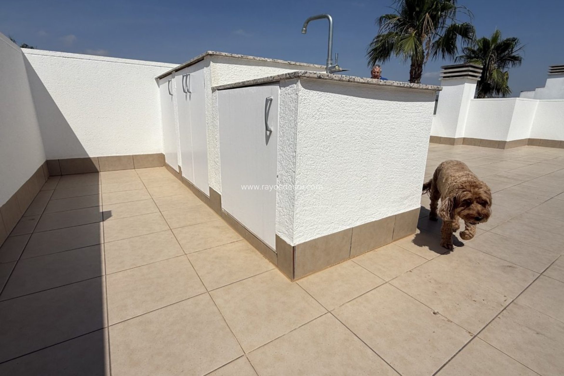 Resale - Villa - Sucina