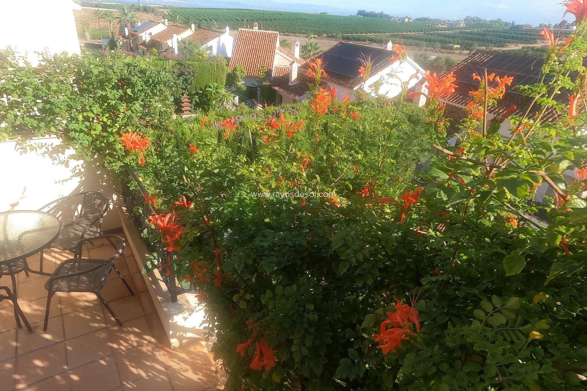 Reventa - Apartamento / piso - Algorfa - La Finca Golf