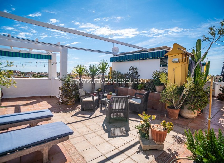 Reventa - Apartamento / piso - ALICANTE - La Florida