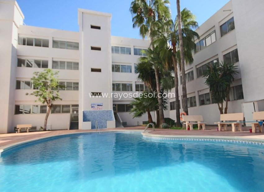 Reventa - Apartamento / piso - Calpe