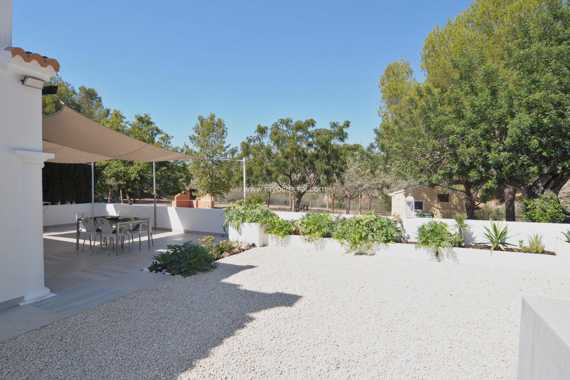 Reventa - Apartamento / piso - Calpe