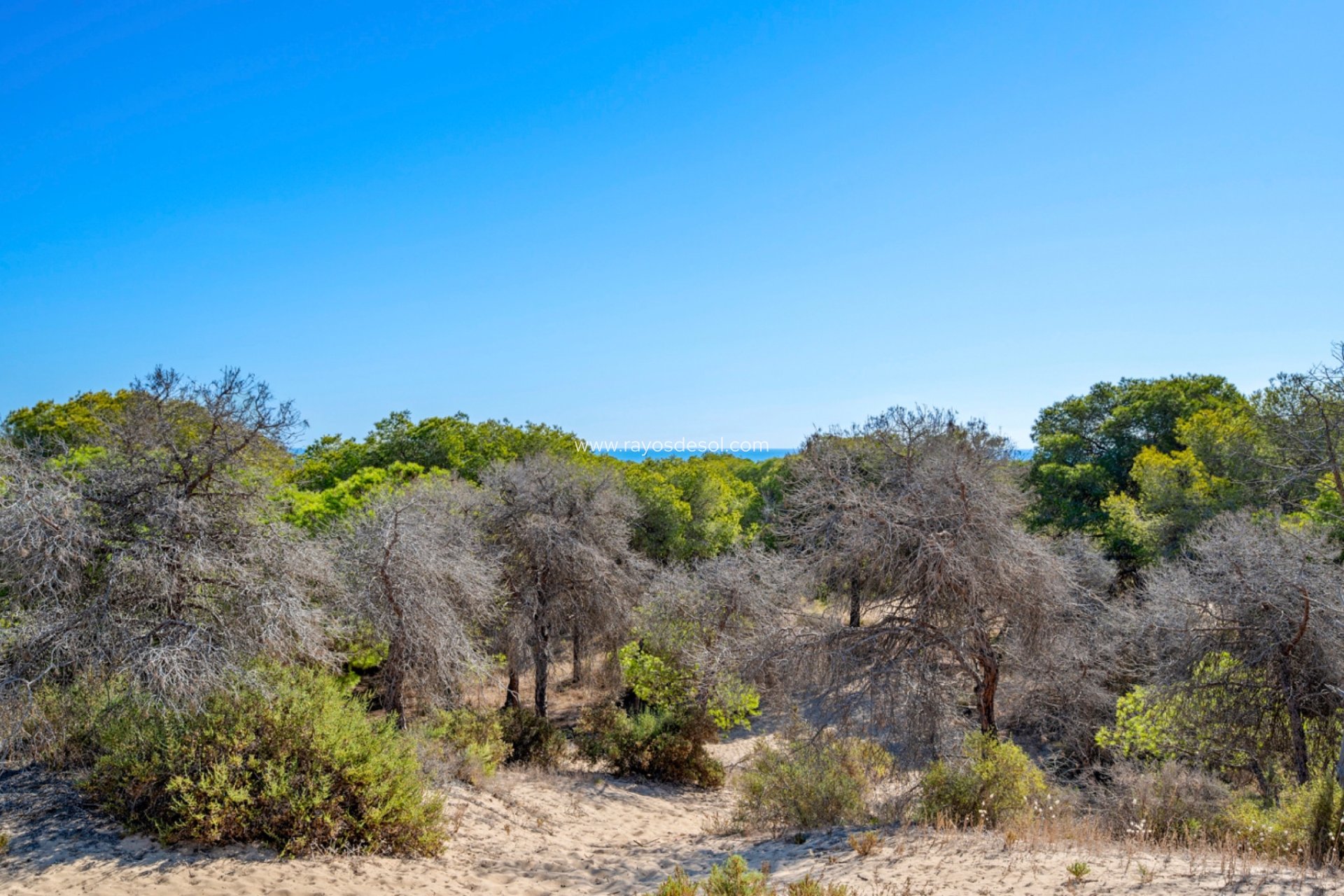 Reventa - Apartamento / piso - Guardamar del Segura - Guardamar Del Segura