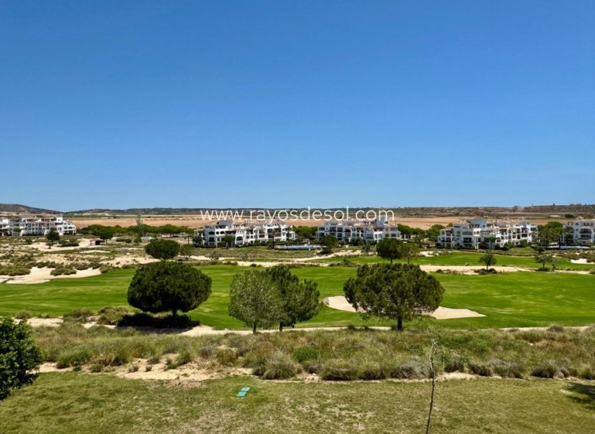 Reventa - Apartamento / piso - Hacienda Riquelme Golf Resort