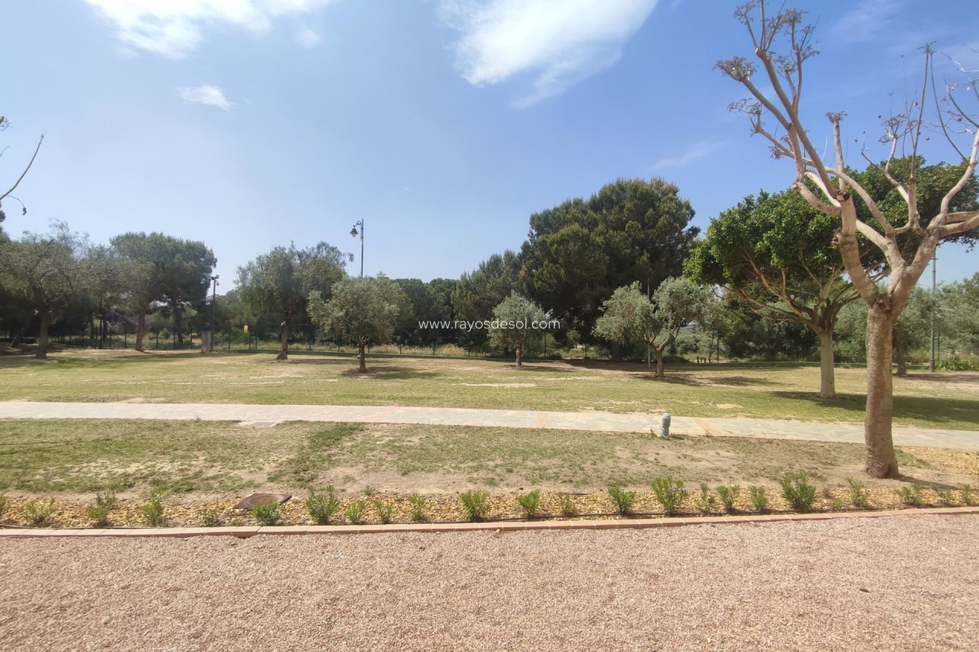 Reventa - Apartamento / piso - Hacienda Riquelme Golf Resort