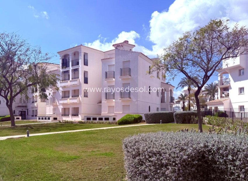 Reventa - Apartamento / piso - Hacienda Riquelme Golf Resort
