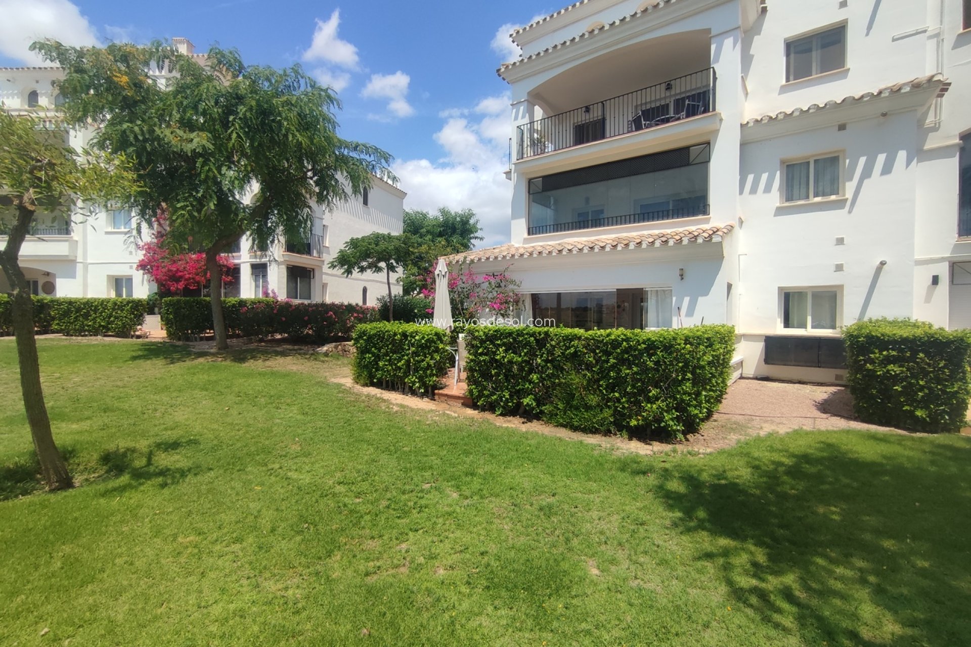 Reventa - Apartamento / piso - Hacienda Riquelme Golf Resort