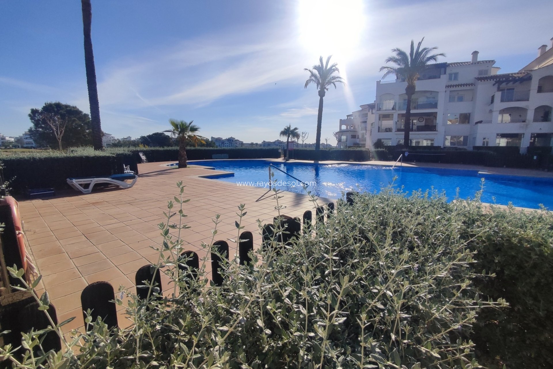 Reventa - Apartamento / piso - Hacienda Riquelme Golf Resort