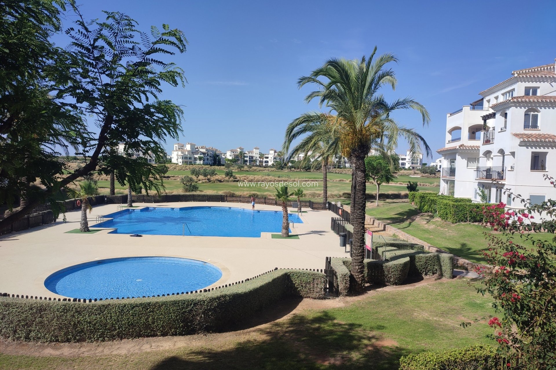 Reventa - Apartamento / piso - Hacienda Riquelme Golf Resort
